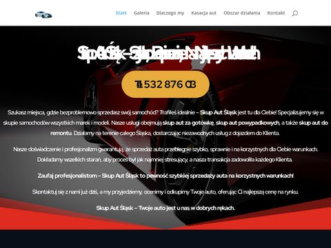 Skupaut24.slask.pl - wygodna alternatywa
