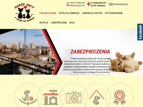 Nasze-koty.com.pl - hotel dla kotów Kraków