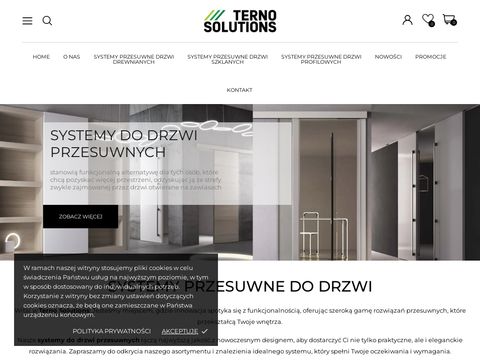 Ternosolutions.pl - system do drzwi przesuwnych