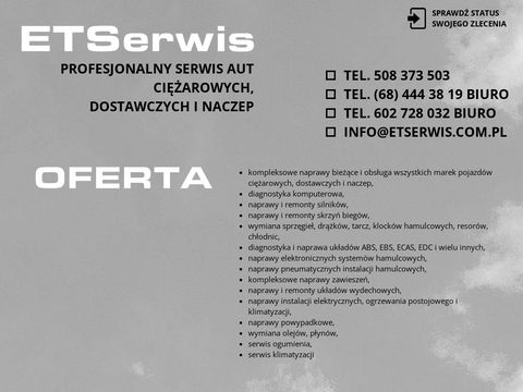 Etserwis.com.pl - diagnostyka komputerowa